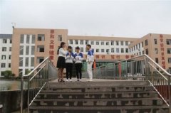 职校是什么学历 职校和技校的区别在哪里