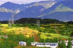江油职高学校有哪些——江油职中