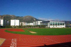 2019年成都体育学院有哪些录取原则规定呢？