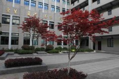 四川省南充市卫校有制药专业吗