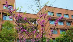 贵阳学院2019年学校的特色专业有哪些呢？