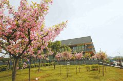 重庆工贸职业技术学院2019年收费标准是多少呢？