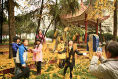 湖南幼儿师范高等专科学校2019招生录取分数线