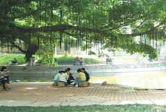 广东第二师范学院2019招生录取分数线
