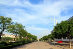 山东体育学院2019有哪些专业及什么专业好