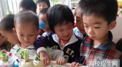 江苏省学前教育专业学校怎么样，好不好