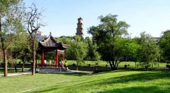 山西师范学院2019招生录取分数线