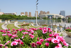 湖南文理学院2019招生录取分数线