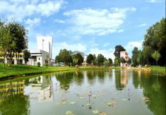广西科技师范学院2019招生录取分数线