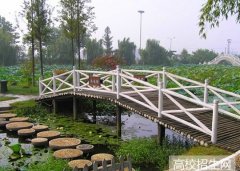 广西科技师范学院2019年广西幼师排名解读