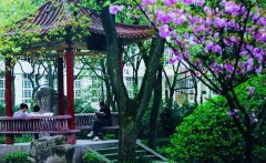 重庆师范大学2019招生录取分数线