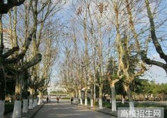 中国石油大学胜利学院2019年山东幼师排名解读