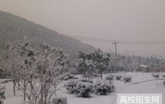 泰山学院教师教育学院2019年山东幼师排名解读