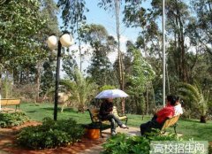 云南师范大学文理学院2019招生简章及计划