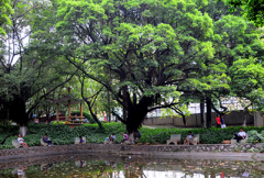 广东第二师范学院2019年招生简章及计划