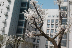 湖北第二师范学院2019有哪些专业及什么专业好