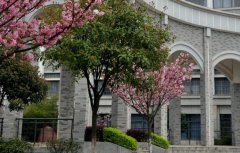 湖南第一师范学院2019有哪些专业及什么专业好