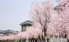 南京晓庄学院2019年江苏幼师学校排名