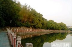 青岛大学师范学院2019年山东幼师排名解读