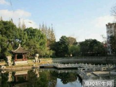 济南大学教育与心理科学学院2019年山东幼师排名解读
