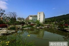 潍坊工程职业学院2019年山东幼师排名解读