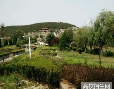 山东力明科技职业学院2019年山东幼师排名解读
