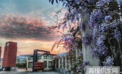 保山学院2019年云南幼师学校排名解读
