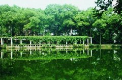 重庆师范大学2019有哪些专业及什么专业好