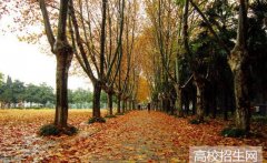 扬州大学2019年江苏幼师学校排名