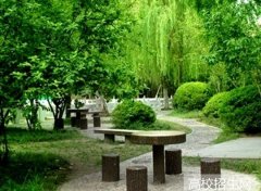 齐鲁师范学院教师教育学院2019年山东幼师排名解读