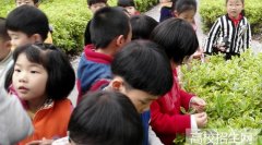 云南哪些大专有幼师专业