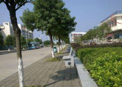 广西师范大学招生老师QQ及电话