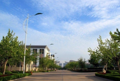 山东体育学院2019报名时间及报名方式