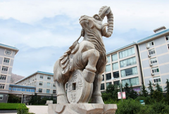 山东凯文科技职业学院地址在哪里？