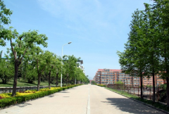 山东体育学院招生老师QQ及电话