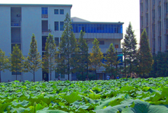 湖北师范大学2019报名时间及报名方式