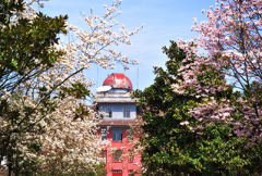 湖南师范大学招生老师QQ及电话