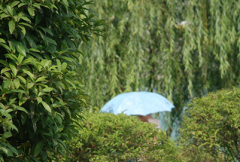 安徽师范大学2019招生办电话及联系方式