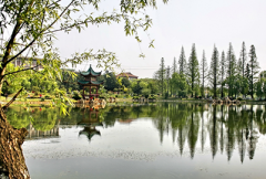 湖南农业大学教育学院招生老师QQ及电话
