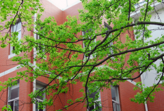 湖南师范大学2019报名时间及报名方式