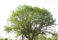 山东师范大学教育学院宿舍条件及图片