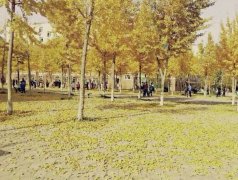 河北大学教育学院招生老师QQ及电话