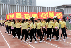 云南师范大学招生老师QQ及电话