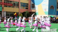 湖南省哪里有学前教育专业学校招生，有几个