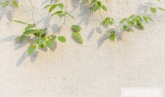 湖南地区学前教育专业最好的学校是哪个