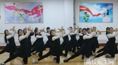 河北省学前教育专业本科院校排名分析