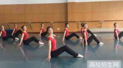 河北省有哪些学前教育专业大专学校
