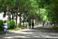 湖南文理学院2019报名时间及报名方式