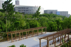 山东师范大学历山学院招生老师QQ及电话