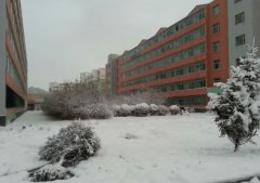 吉林师范大学招生老师QQ及电话